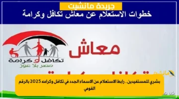 بشرى للمستفيدين.. رابط الاستعلام عن الأسماء الجدد في تكافل وكرامة 2025 بالرقم القومي